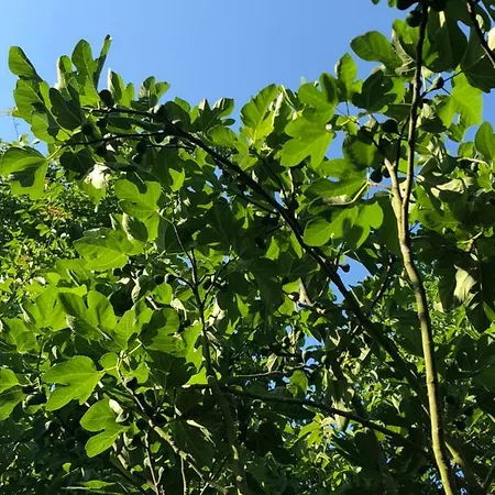 Feriehus Aux Lettres Du Lavoir
