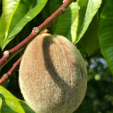 Feriehus Aux Lettres Du Lavoir La Rivière-Saint-Sauveur