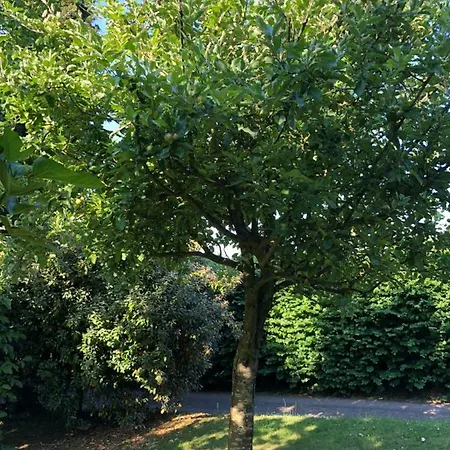 Aux Lettres Du Lavoir *