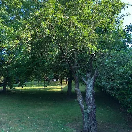 Aux Lettres Du Lavoir *