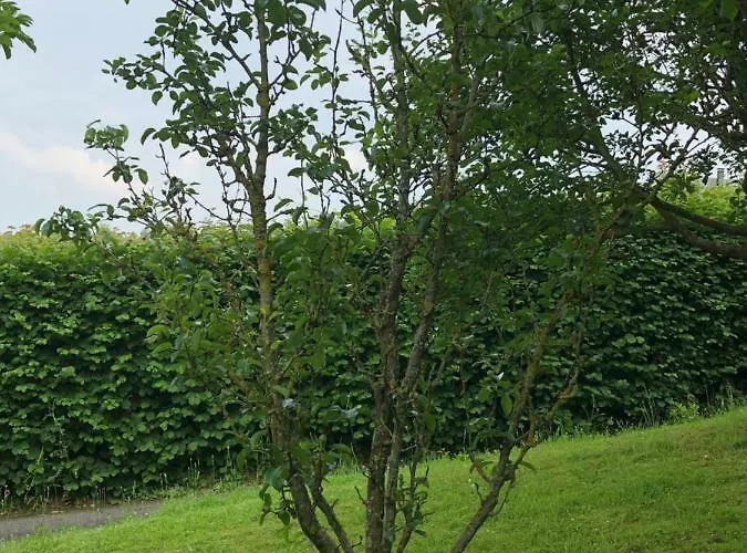 Aux Lettres Du Lavoir * La Rivière-Saint-Sauveur