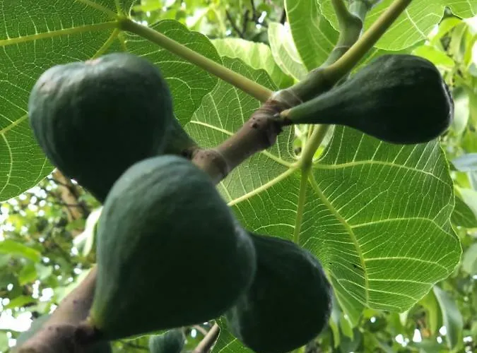 Casa vacanze Aux Lettres Du Lavoir La Rivière-Saint-Sauveur