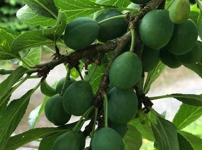 Aux Lettres Du Lavoir