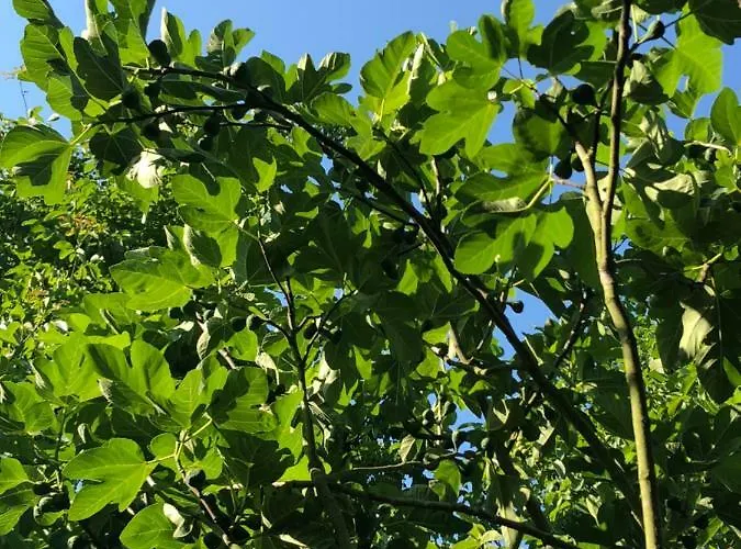 Casa vacanze Aux Lettres Du Lavoir