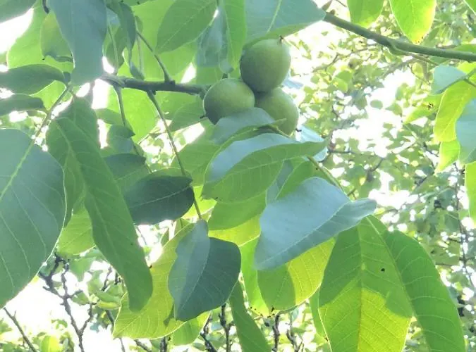Casa vacanze Aux Lettres Du Lavoir *