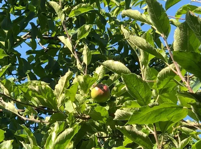 Casa vacanze Aux Lettres Du Lavoir La Rivière-Saint-Sauveur
