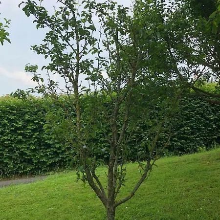 Aux Lettres Du Lavoir * La Rivière-Saint-Sauveur