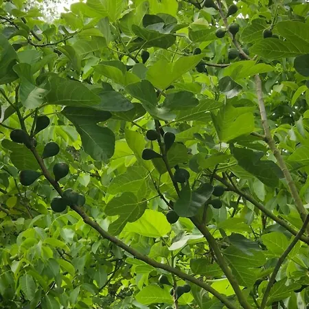 Vakantiehuis Aux Lettres Du Lavoir *