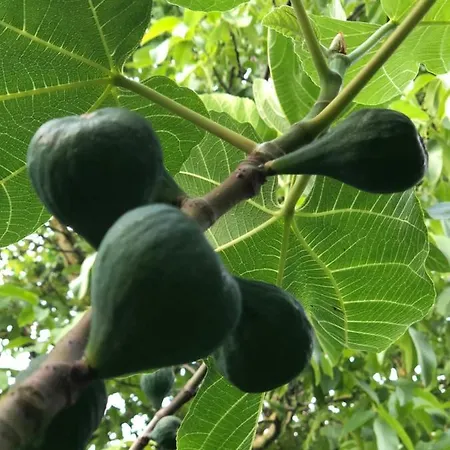 Vakantiehuis Aux Lettres Du Lavoir La Rivière-Saint-Sauveur