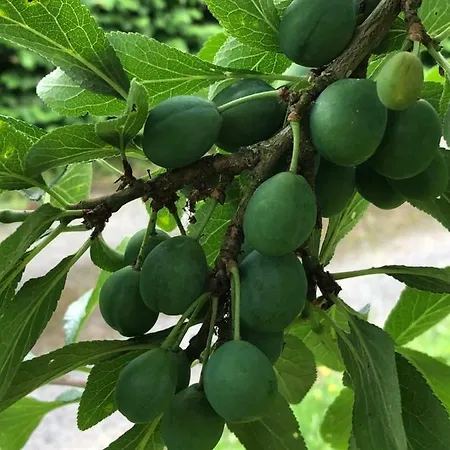 Aux Lettres Du Lavoir