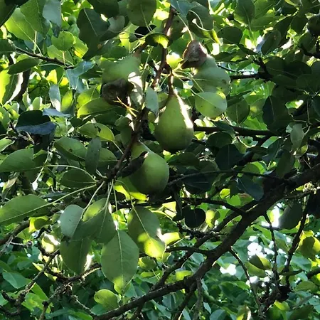 Vakantiehuis Aux Lettres Du Lavoir La Rivière-Saint-Sauveur