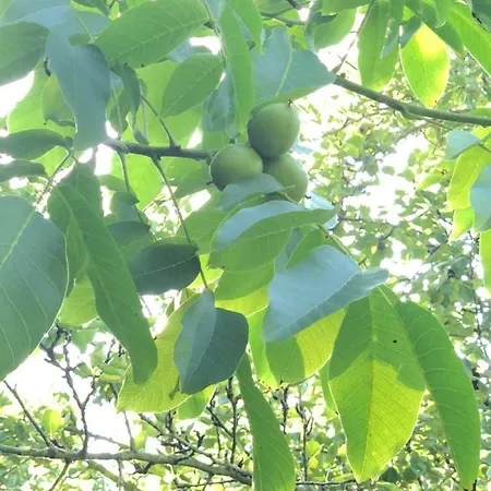 Vakantiehuis Aux Lettres Du Lavoir *