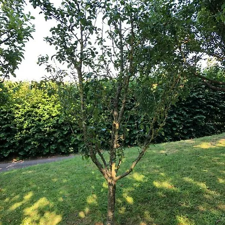 Aux Lettres Du Lavoir Vakantiehuis