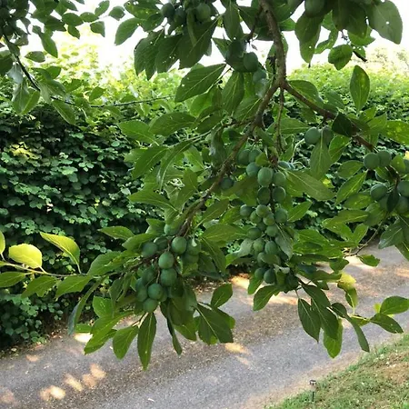 Aux Lettres Du Lavoir *