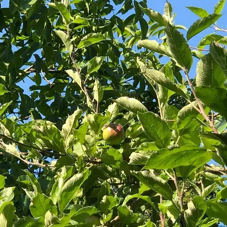 Prázdninový dům Aux Lettres Du Lavoir La Rivière-Saint-Sauveur