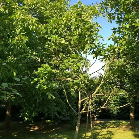 Aux Lettres Du Lavoir