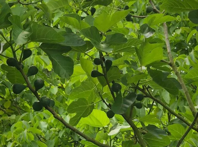 Hébergement de vacances Aux Lettres Du Lavoir *