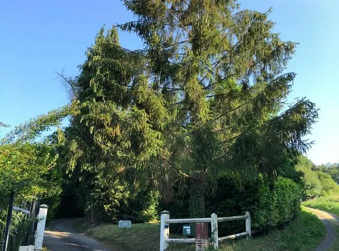 Aux Lettres Du Lavoir *