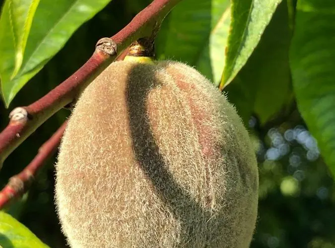 بيت للعطل Aux Lettres Du Lavoir La Rivière-Saint-Sauveur