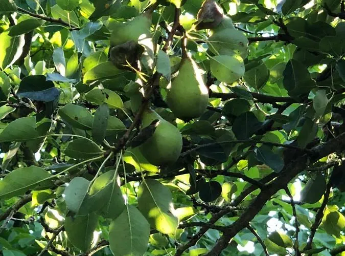 بيت للعطل Aux Lettres Du Lavoir La Rivière-Saint-Sauveur