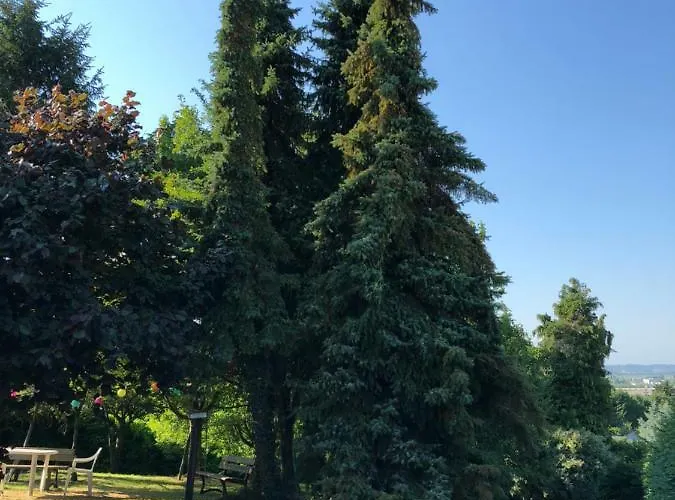Aux Lettres Du Lavoir * La Rivière-Saint-Sauveur