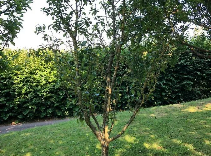 Aux Lettres Du Lavoir Hébergement de vacances
