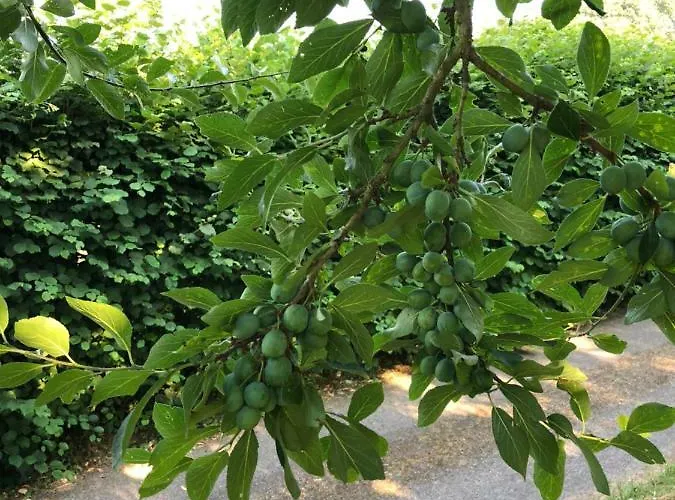 Aux Lettres Du Lavoir *