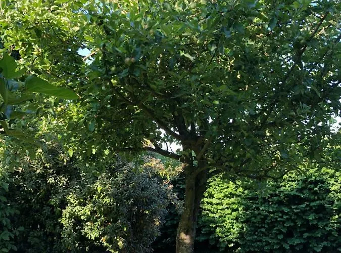 Aux Lettres Du Lavoir *