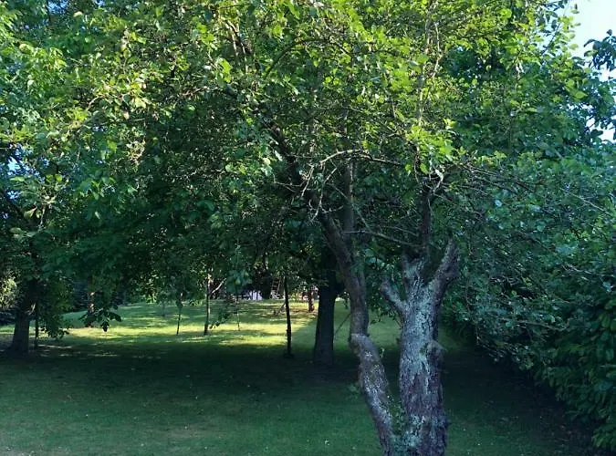 Aux Lettres Du Lavoir *