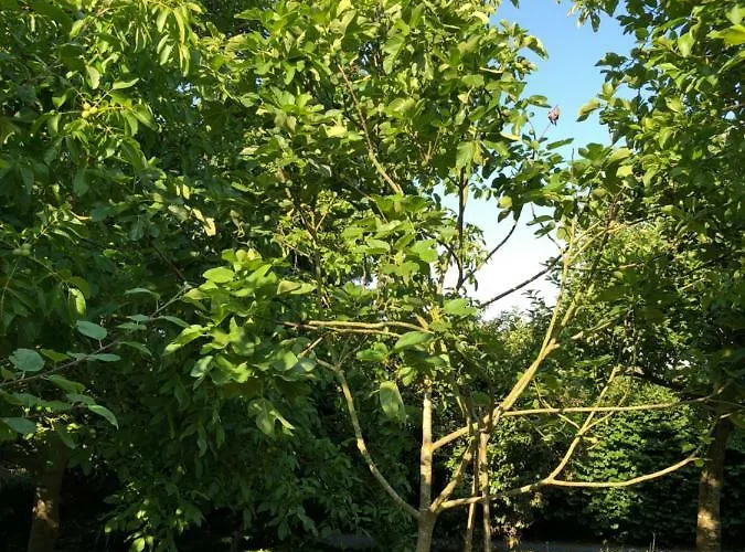 Aux Lettres Du Lavoir