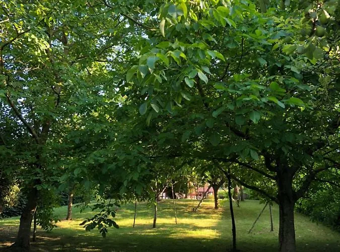 Hébergement de vacances Aux Lettres Du Lavoir La Rivière-Saint-Sauveur